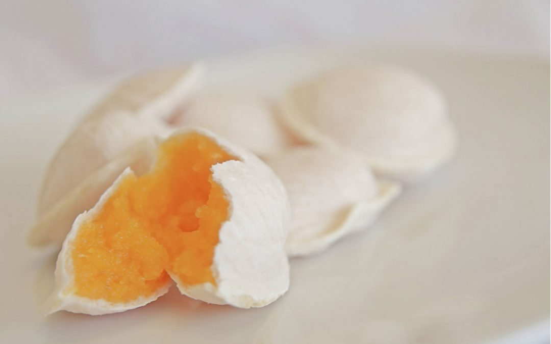 Conheça a Gastronomia do Centro e Sul de Portugal